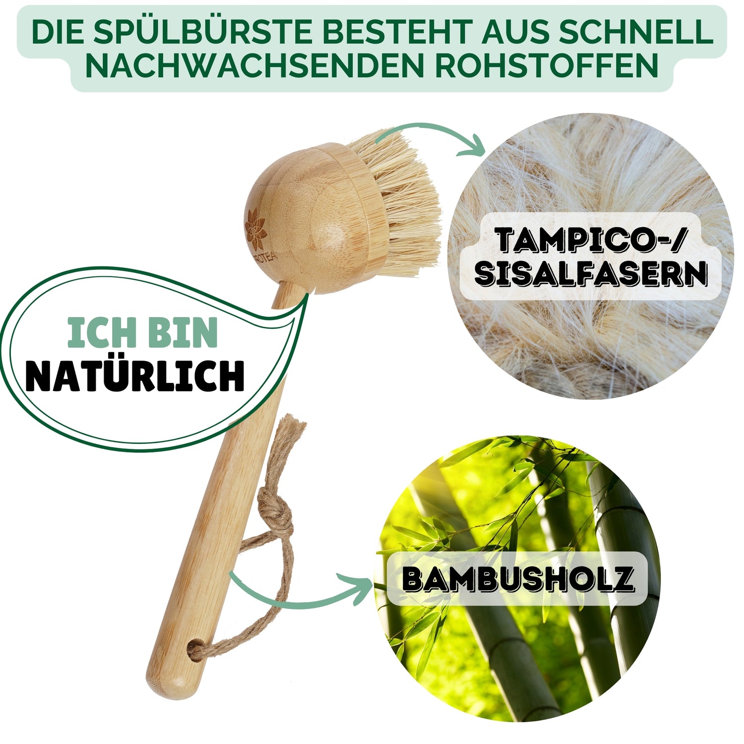 Unsere Spülbürste aus Holz besteht aus Bambusholz und Naturborsten aus einer Mischung aus Sisal- und Tampicofasern und ist damit aus schnell nachwachsenden Rohstoffen hergestellt. Unsere Topfbürste mit Wechselkäpfen ist damit eine umweltfreundliche Alternative zu Spülbürsten mit Saugnapf oder Spülbürstenhalter aus Kunststoff.