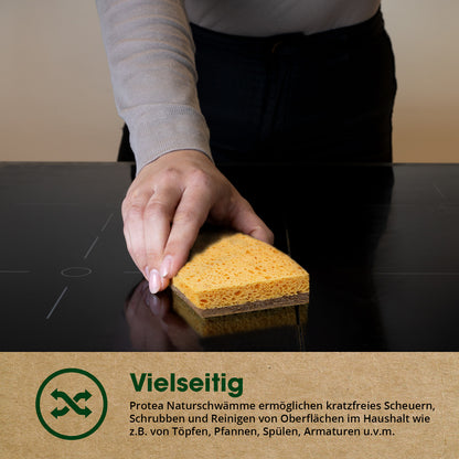 Der nachhaltige Protea Spülschwamm reinigt kratzfrei und gründlich alle Oberflächen. Ideal für deinen nachhaltigen Lifestyle mit weniger Plastik im Alltag